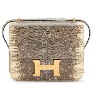Hermès Mini Constance 18 – Ombré Salvator Lizard