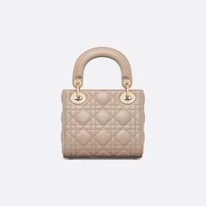 Mini Lady Dior Bag
